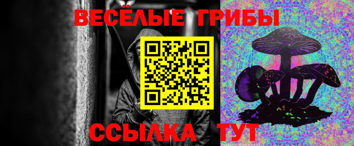 Псилоцибиновые грибы MAGIC MUSHROOMS  Вход с VPN  Алушта 